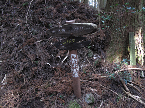 20140105hike (286)